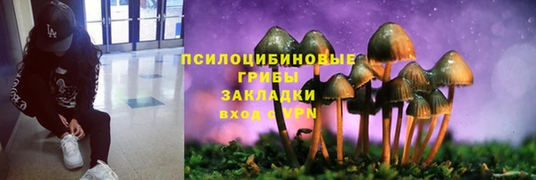 дживик Балабаново