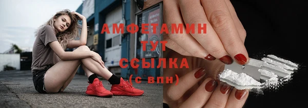 шишки Балахна