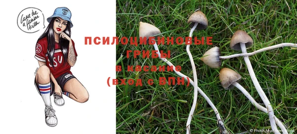 прущая мука Снежинск