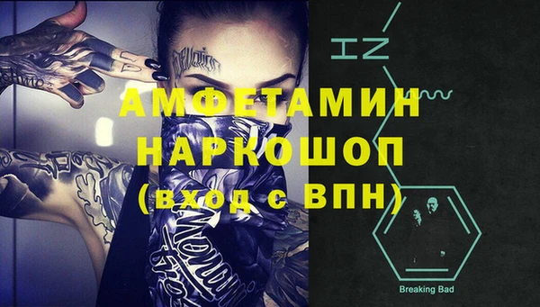 шишки Балахна