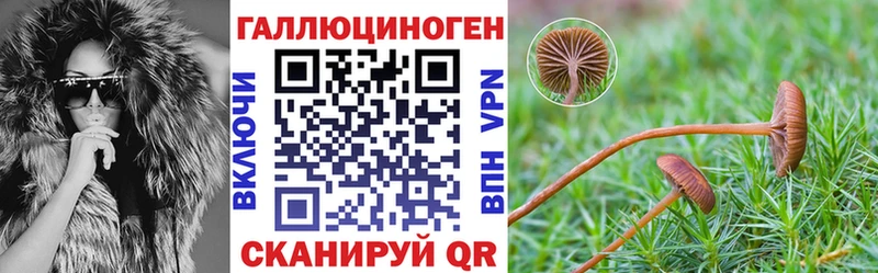Псилоцибиновые грибы Psilocybine cubensis  Нерюнгри 