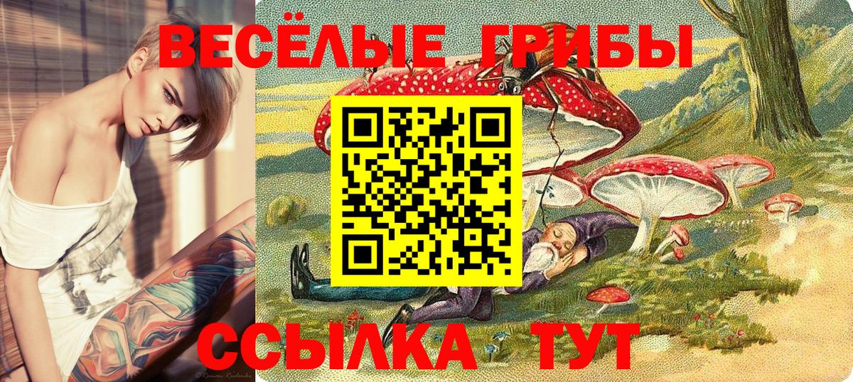 Галлюциногенные грибы MAGIC MUSHROOMS Нерюнгри