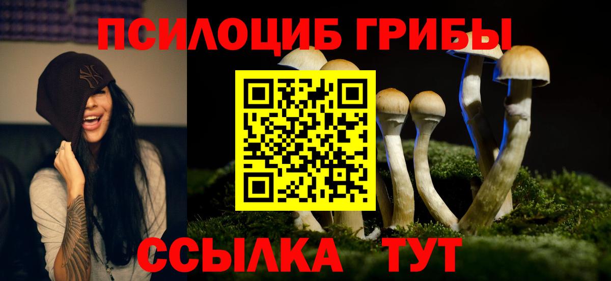 Псилоцибиновые грибы ЛСД  Вход с VPN  Нерюнгри 
