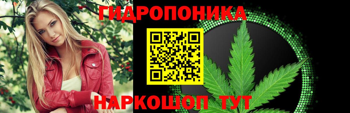 Шишки марихуана OG Kush Нерюнгри